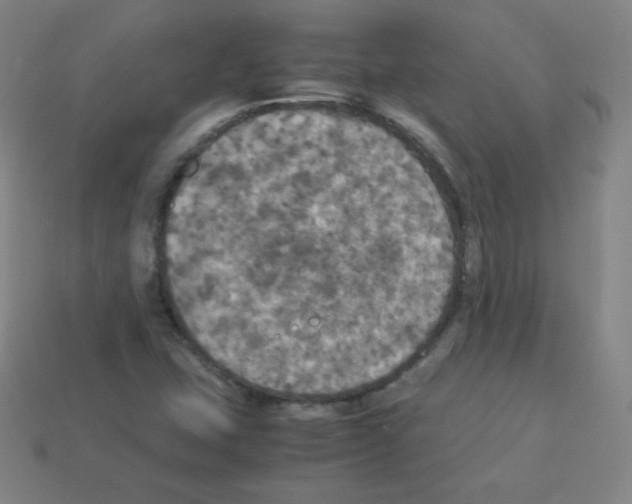 X0000113111407200910091150
