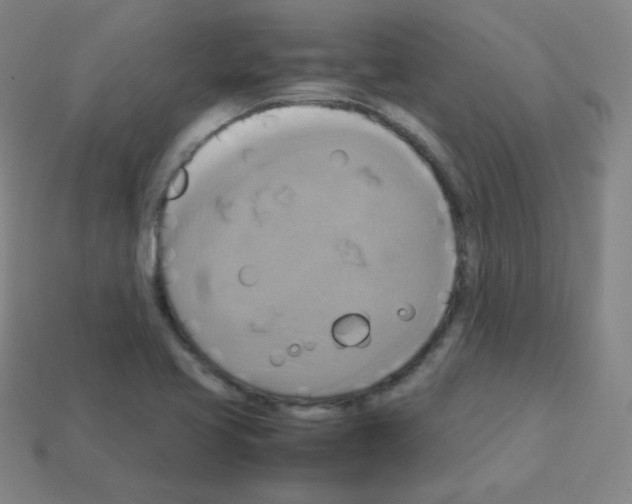 X0000113111413200910091150
