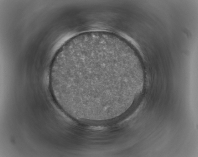 X0000113111415200910091150