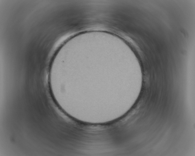 X0000113111416200910091150