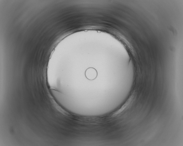 X0000113111417200910091150