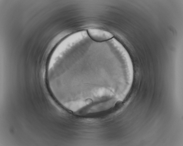 X0000113111418200910091150