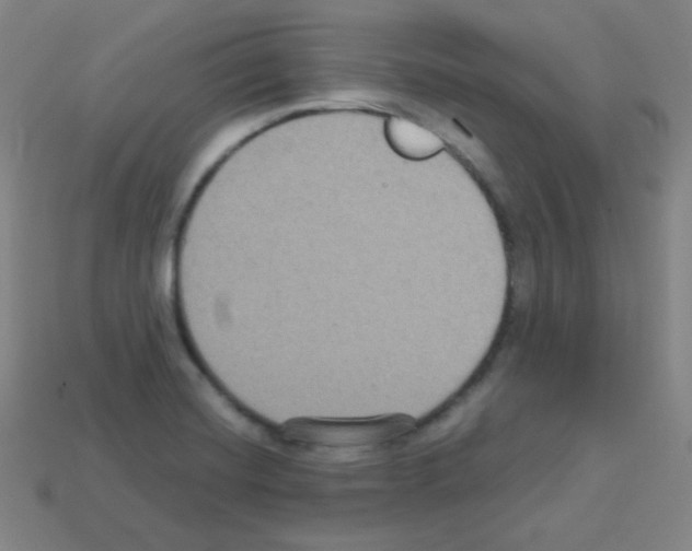 X0000113111420200910091150