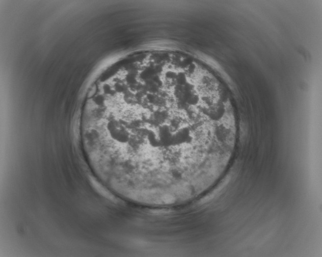 X0000113111421200910091150