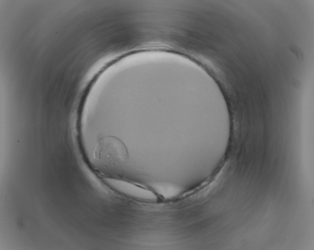X0000113111422200910091150