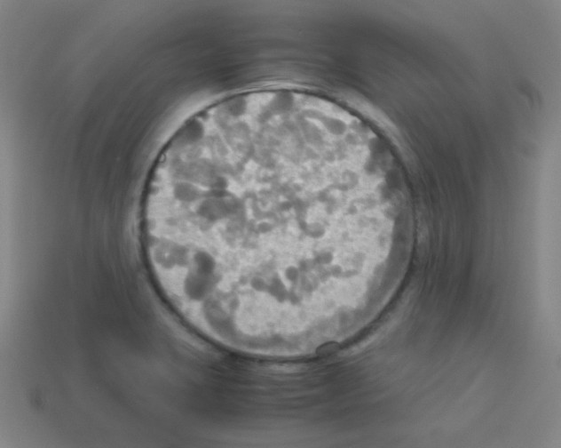 X0000113111423200910091150