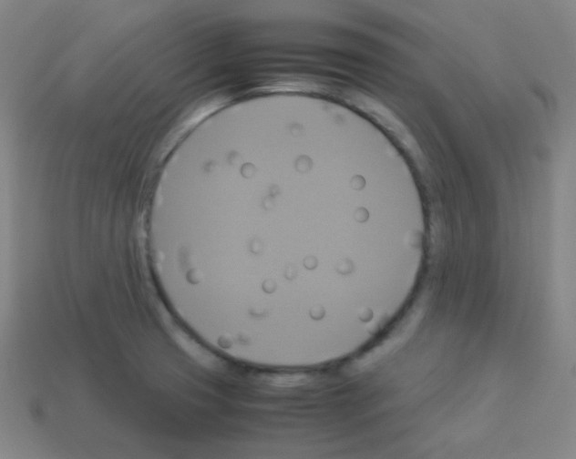 X0000113111425200910091150