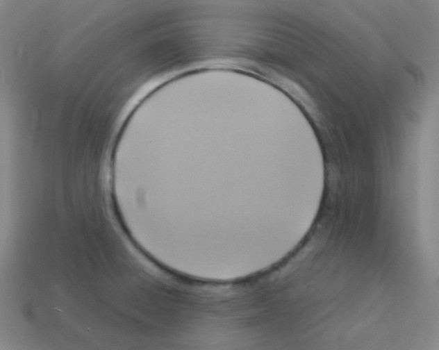 X0000113111428200910091150