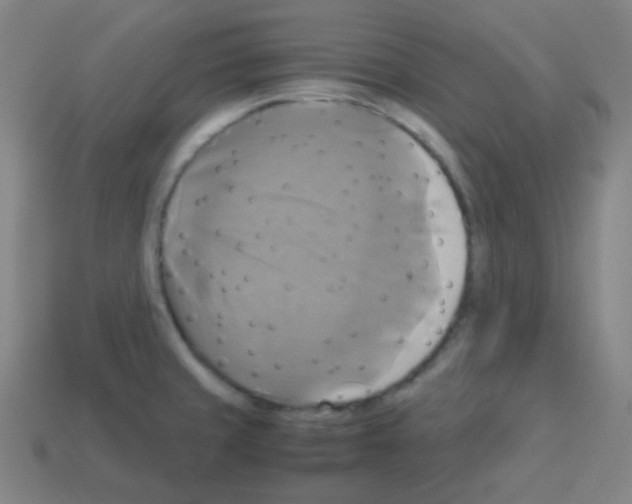 X0000113111429200910091150