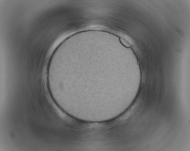 X0000113111430200910091150
