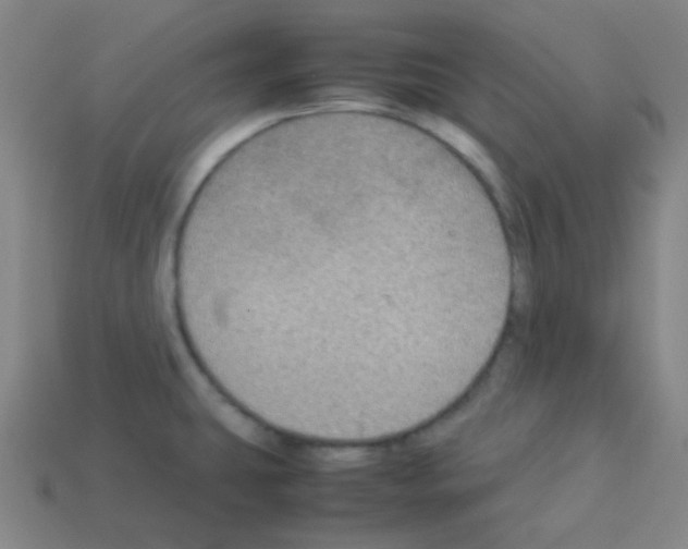 X0000113111431200910091150