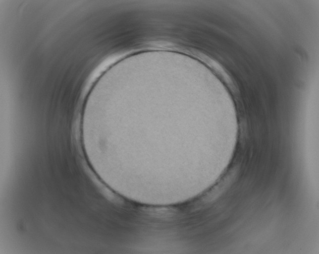 X0000113111432200910091150