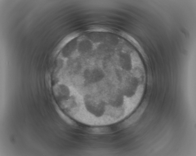 X0000113111433200910091150
