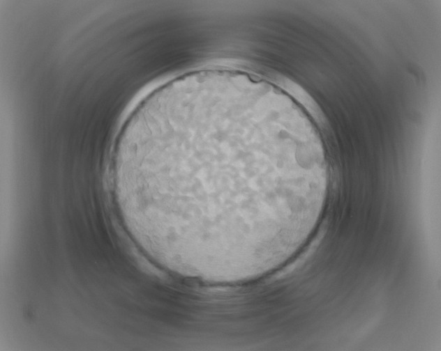 X0000113111436200910091150