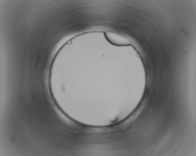 X0000113111438200910091150