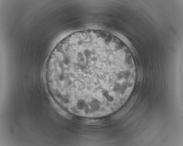 X0000113111439200910091150