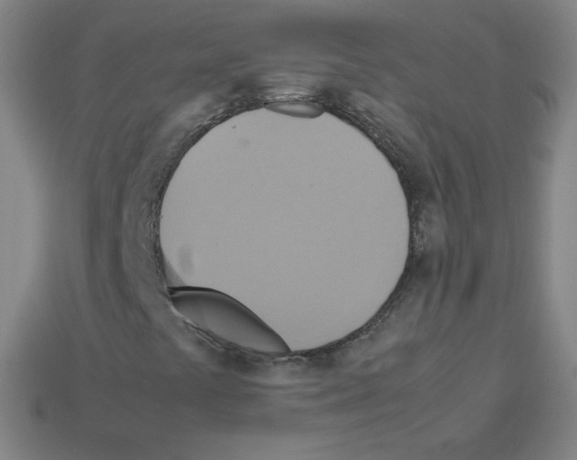 X0000113111441200910091150