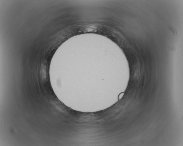 X0000113111442200910091150