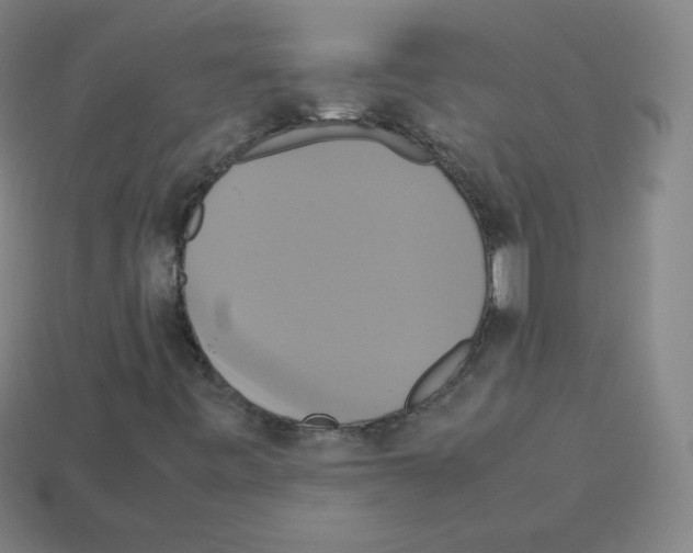 X0000113111443200910091150