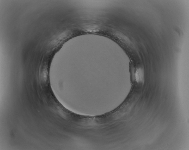 X0000113111444200910091150