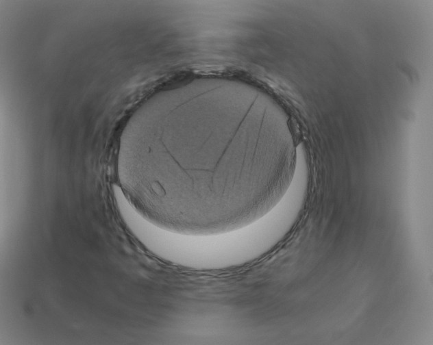X0000113111445200910091150