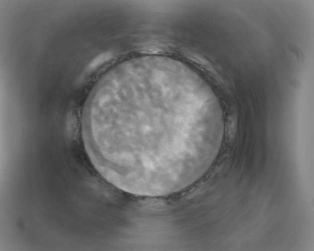 X0000113111446200910091150