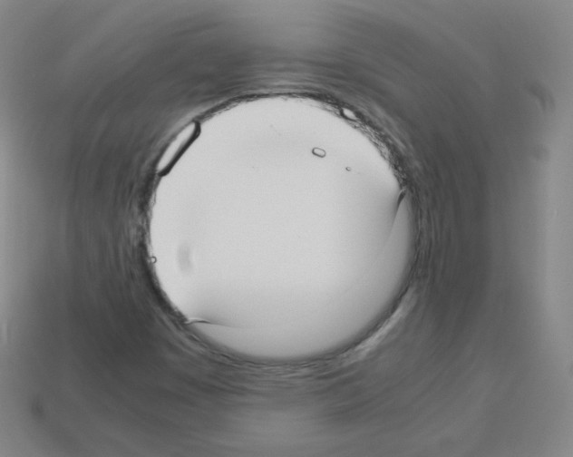 X0000113111449200910091150