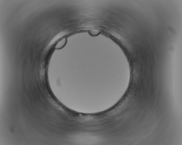 X0000113111450200910091150