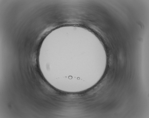 X0000113111451200910091150