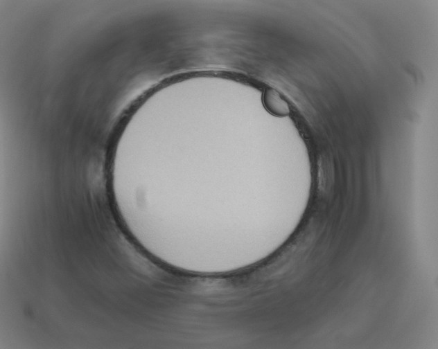 X0000113111452200910091150