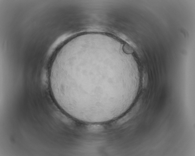 X0000113111454200910091150