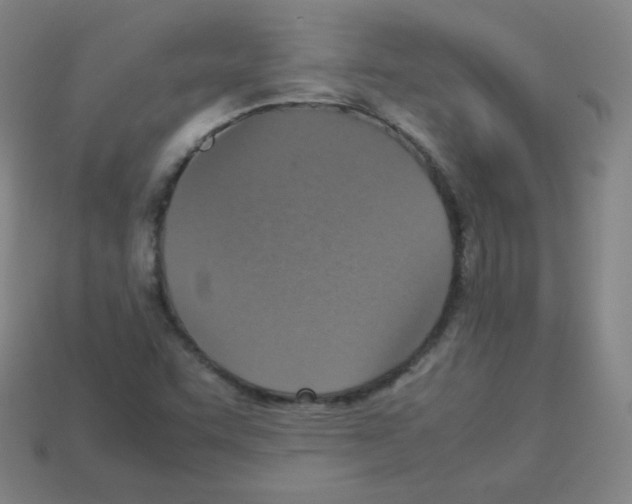 X0000113111455200910091150