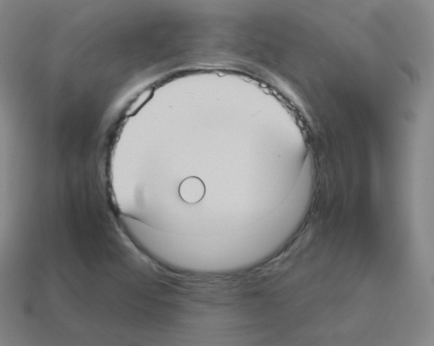 X0000113111456200910091150