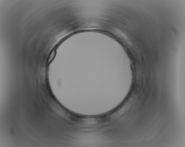 X0000113111457200910091150