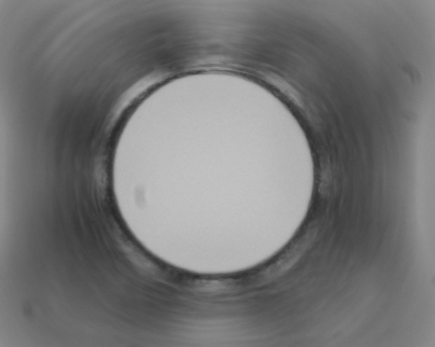 X0000113111458200910091150