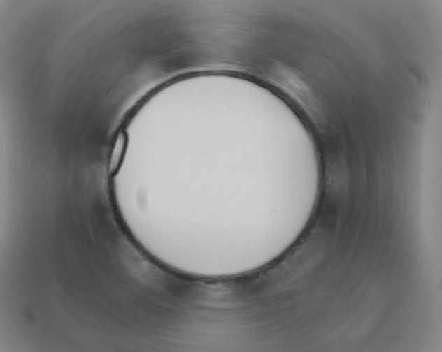 X0000113111460200910091150