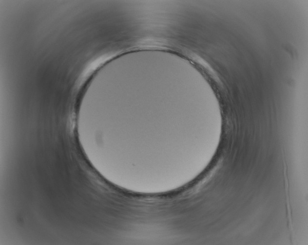 X0000113111461200910091150
