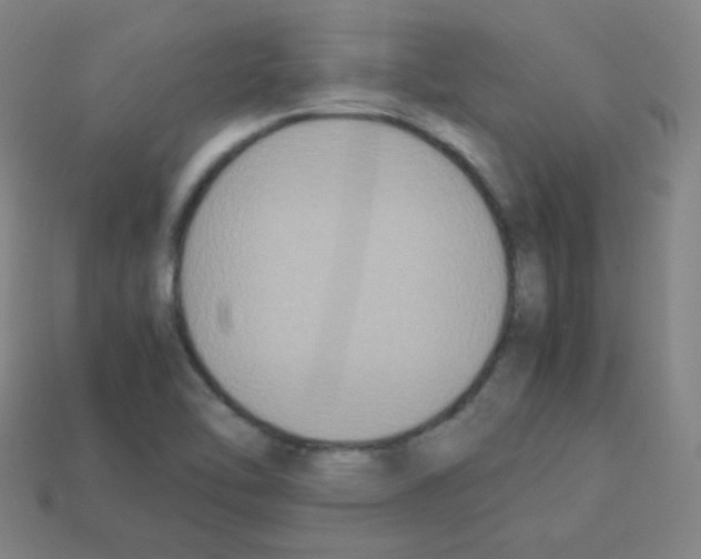 X0000113111462200910091150