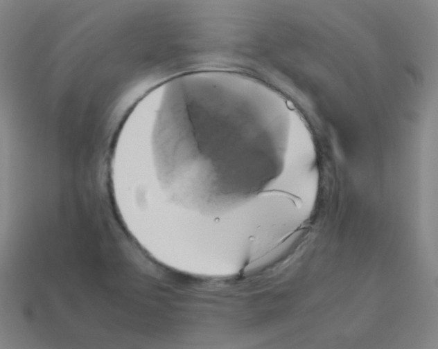 X0000113111463200910091150