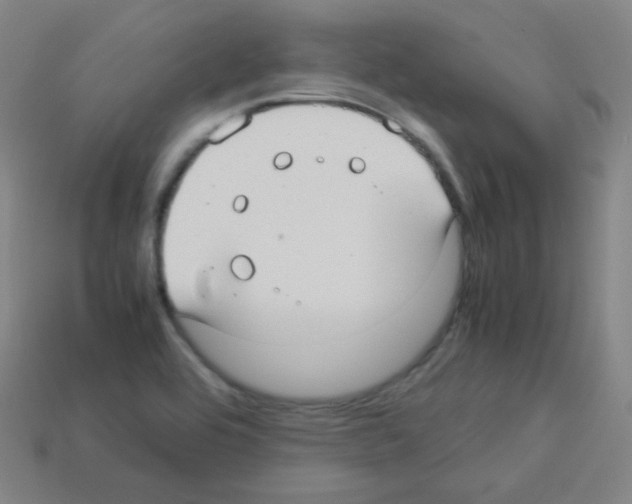 X0000113111464200910091150