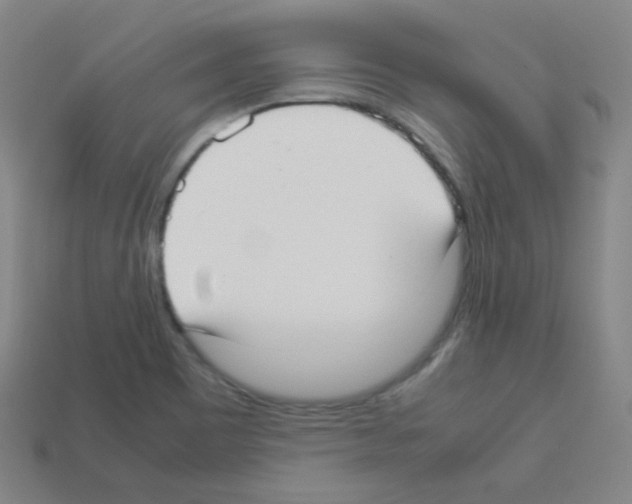 X0000113111465200910091150