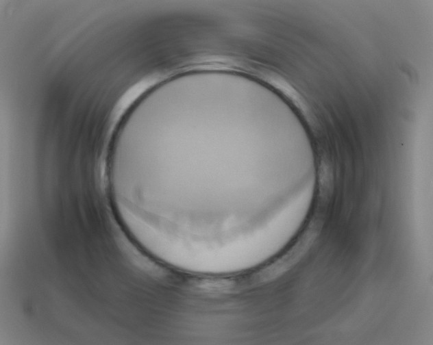 X0000113111466200910091150