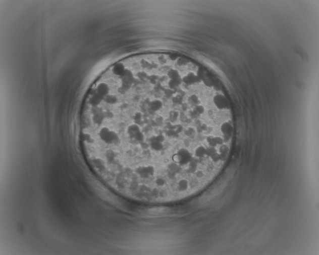 X0000113111467200910091149