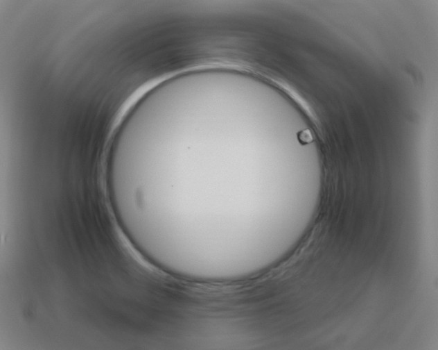 X0000113111468200910091149