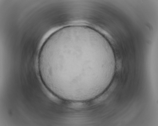 X0000113111470200910091149