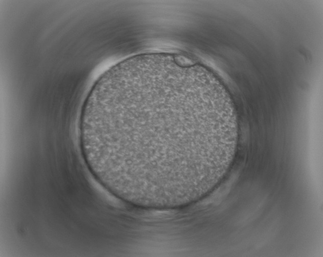 X0000113111471200910091149