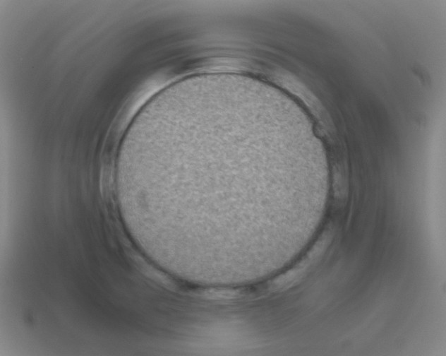 X0000113111473200910091149