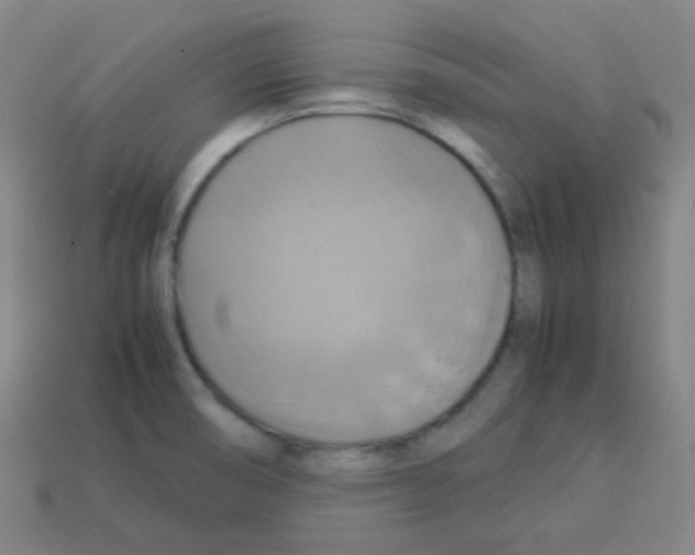X0000113111474200910091149