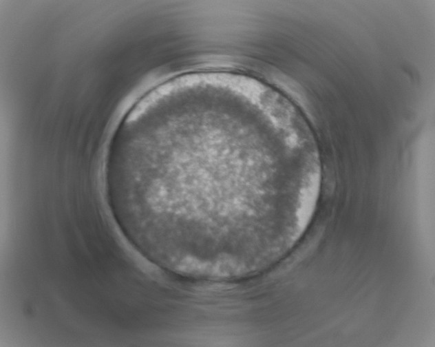 X0000113111475200910091149