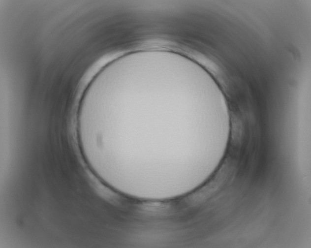 X0000113111478200910091149